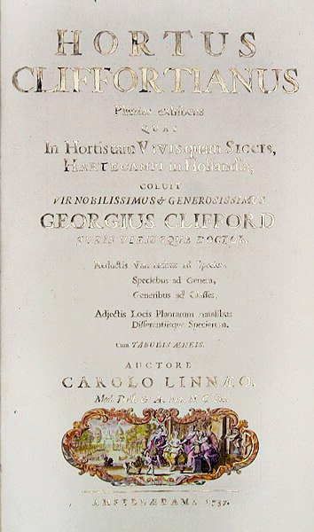 Titelseite von Hortus Cliffortianus von Carl Linnaeus, Amsterdam, 1737 von Dutch School